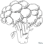 broccoli Disegni Da Colorare Stampabili